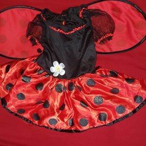 Lady bug costume